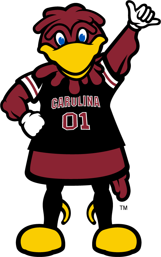 South Carolina Gamecocks 2014-Pres Mascot Logo DIY iron on transfer (heat transfer)